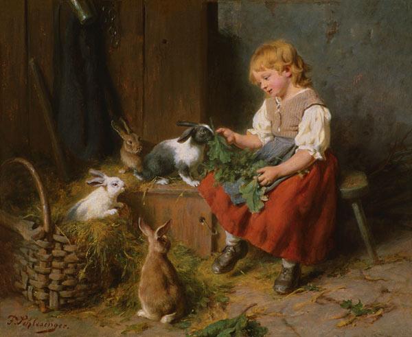 Rabbits feed