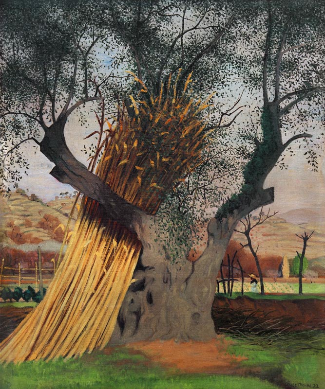 The Old Olive Tree od Felix Vallotton