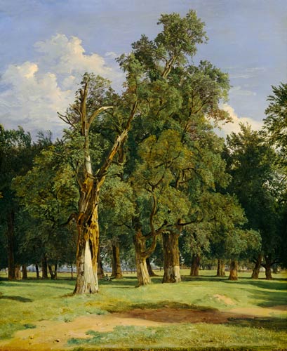 Elm trees in Prater od Ferdinand Georg Waldmüller