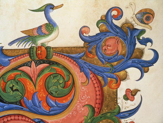 Missal 515 f.92v Zoomorphic foliage with duck-like bird and butterfly, detail of decoration surround od Filippo di Matteo Torelli