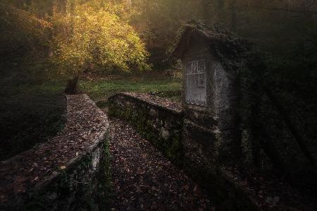 Ancient Bridge