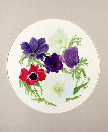 Anemones  od Frances  Buckland