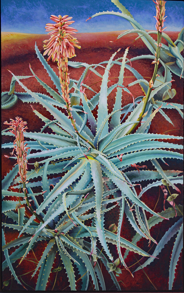 Aloe od Frances Ferdinands