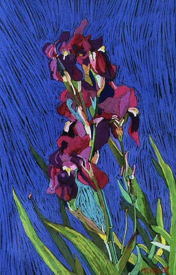 Irises od  Frances  Treanor