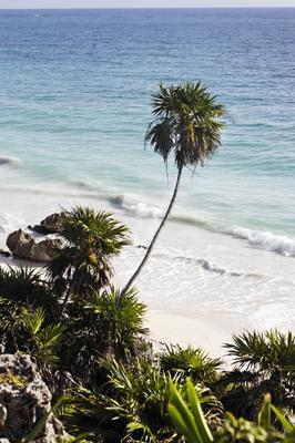 mayan archeologic site of tulum od Franck Camhi