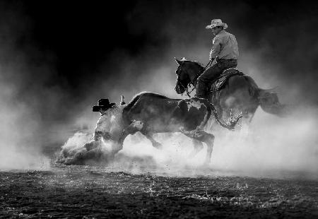 Steer Wrestling in the Light