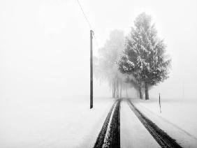 White Tree Gate