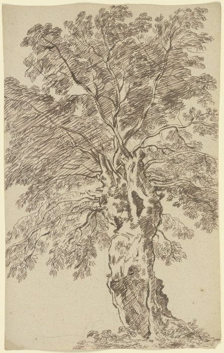 Old tree od Franz Innocenz Josef Kobell
