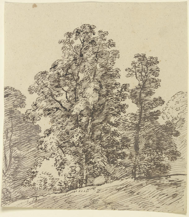 Bäume am Rande eines sanften Abhangs od Franz Innocenz Josef Kobell