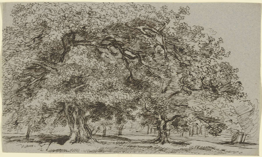 Trees on a meadow od Franz Innocenz Josef Kobell