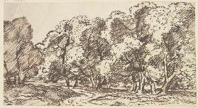 Group of trees