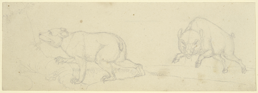 Ein Bär und ein angriffslustiges Wildschwein od Franz Pforr