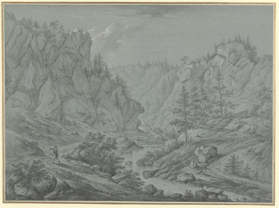 Felsiges Tal mit hohen Tannen (Martinet de Roches) od Franz Schütz