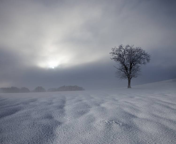 Winter Impression od Franz Schumacher