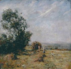 Harvest Scene