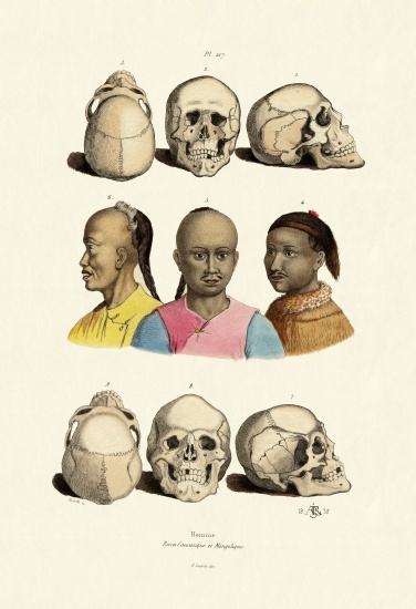 Caucasians od French School, (19th century)