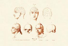 Phrenology