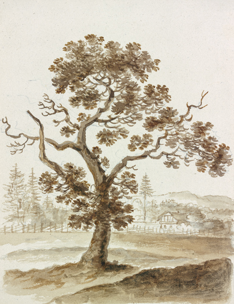 Leaf tree od Friedrich Wilhelm Hirt