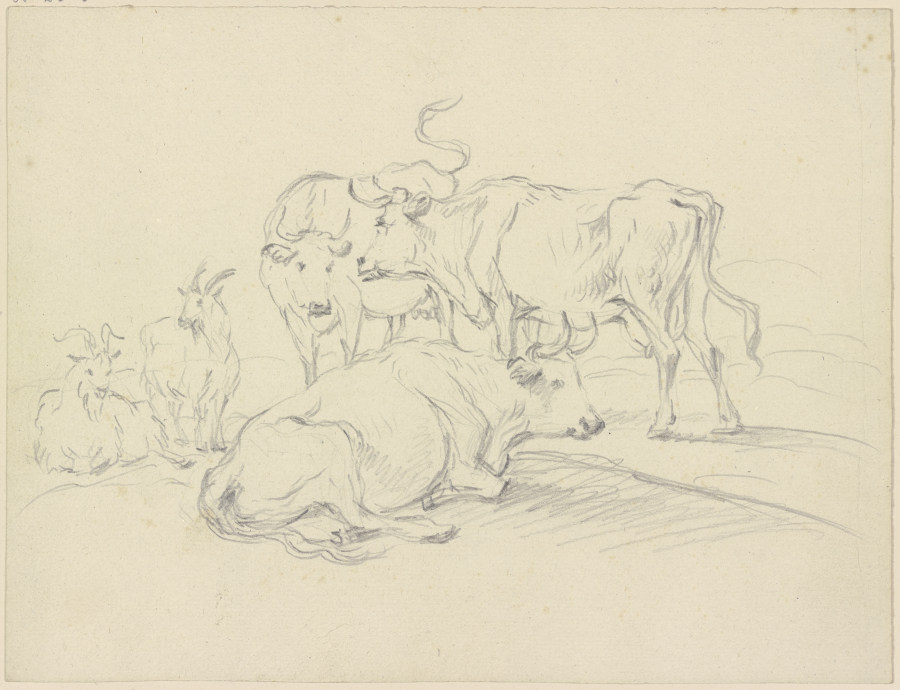 Cows and goats od Friedrich Wilhelm Hirt