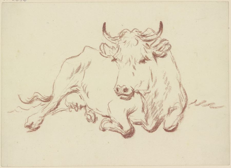 Lying cow en face od Friedrich Wilhelm Hirt