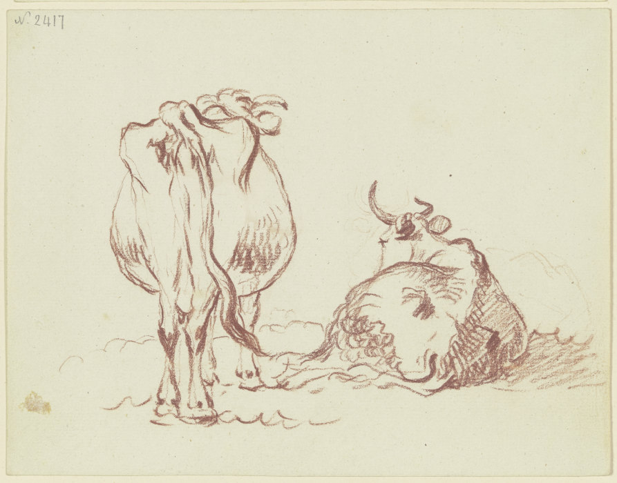 Zwei Rinder, eines stehend, eines liegend, beide rückansichtig, das liegende in starker Verkürzung od Friedrich Wilhelm Hirt