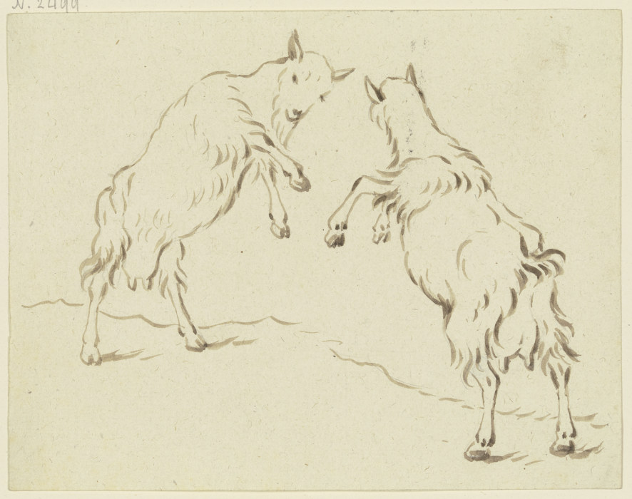 Zwei Ziegen, einander angreifend od Friedrich Wilhelm Hirt