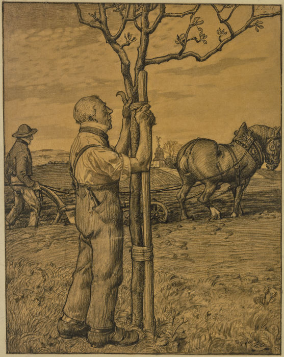 Gärtner, einen Baum anbindend od Fritz Boehle
