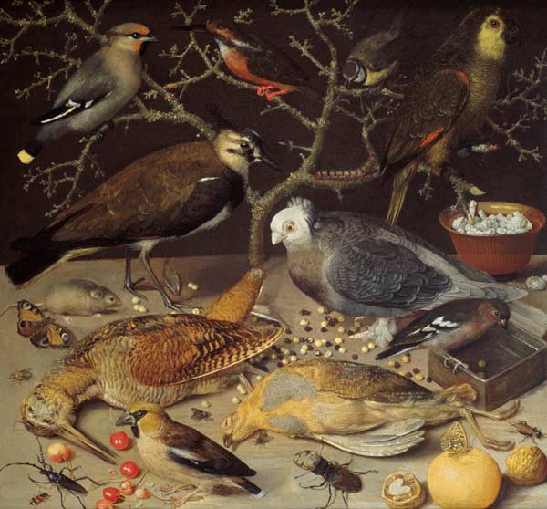 Still Life of Birds and Insects od Georg Flegel