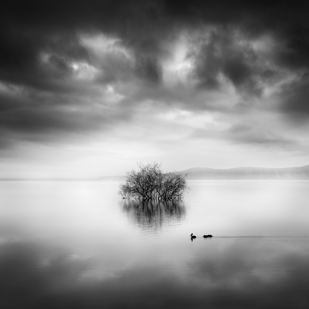 A Ray of Light od George Digalakis