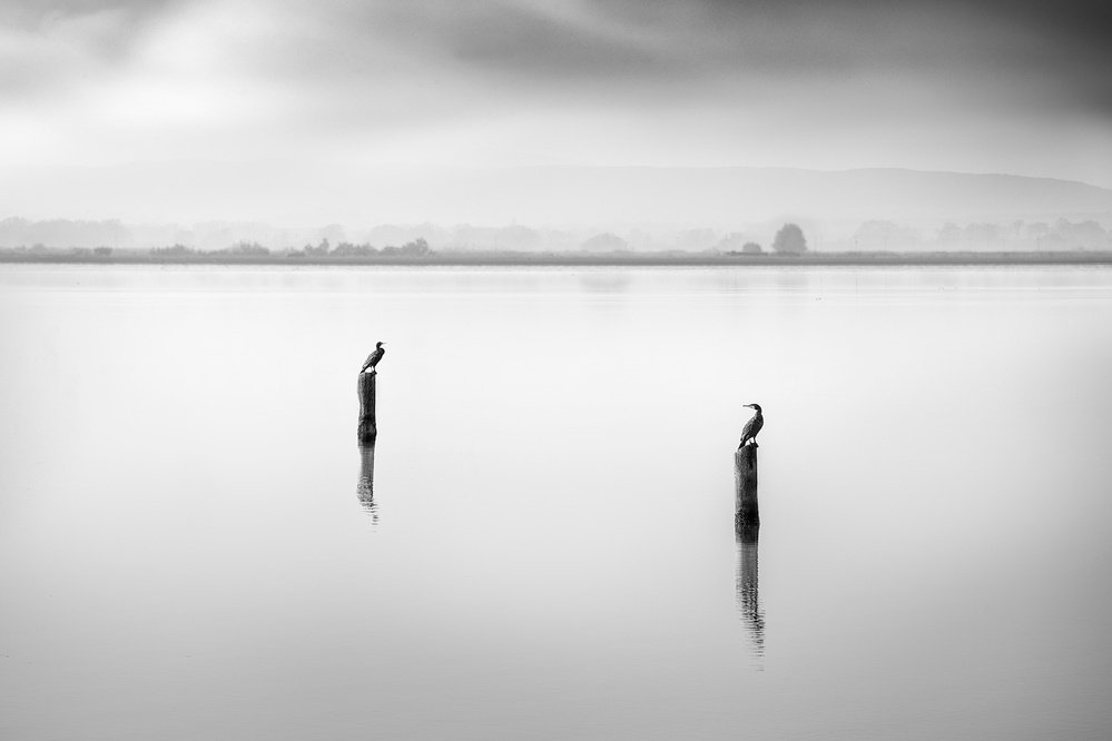 Conversation od George Digalakis