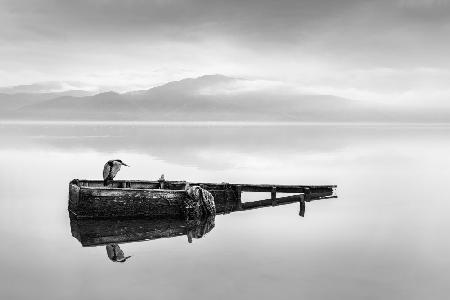 Heron on a Boat I