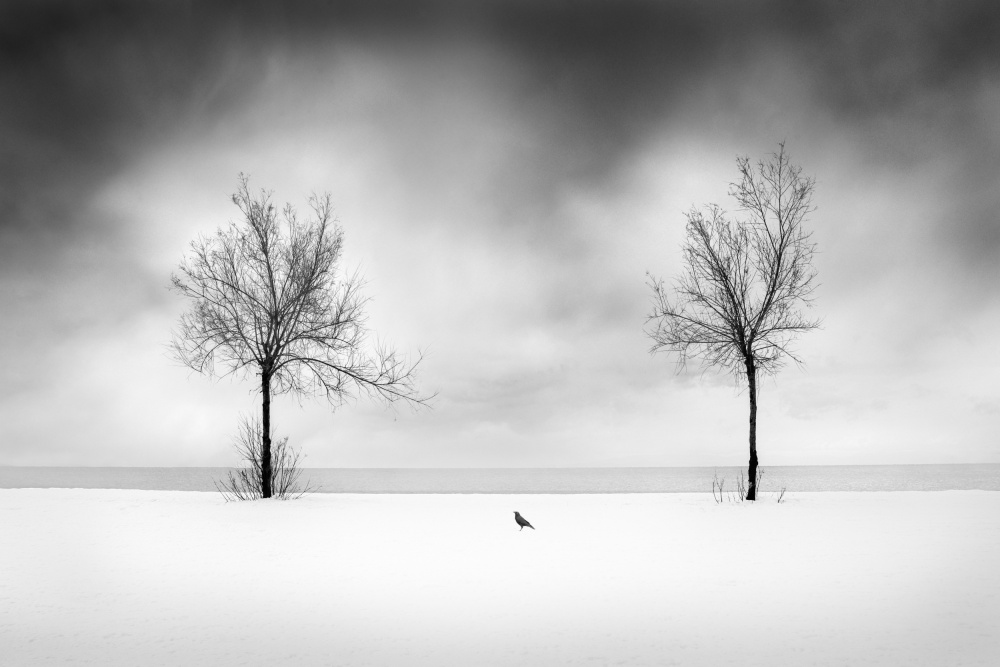 Snow on the Beach od George Digalakis