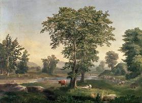 Landscape