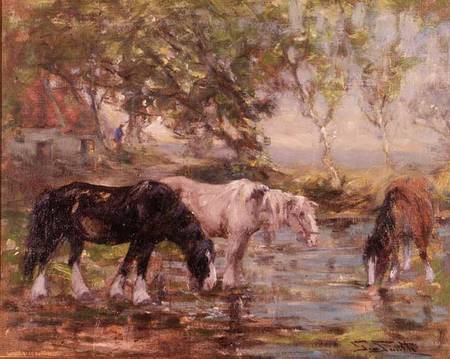 Horses at a Pool od George Smith