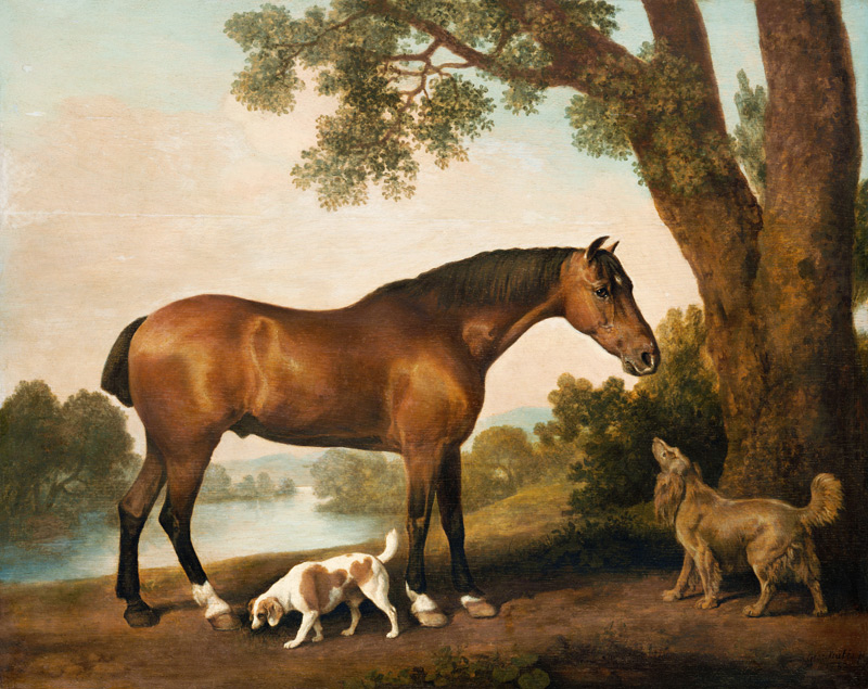 Ein Brauner, ein Springer Spaniel und ein Sussex Spaniel od George Stubbs