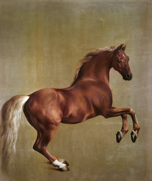 "Whistlejacket" od George Stubbs