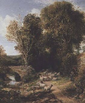 Pastoral Scene