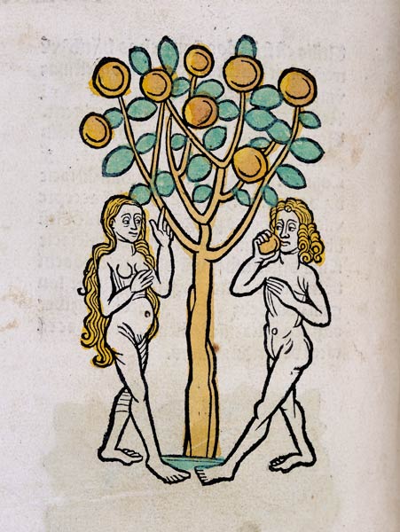The Tree of Knowledge, from Ortus Sanitatis' od German School