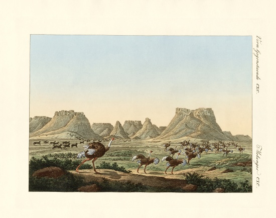 Area in South Africa at the forland of Good Hope od German School, (19th century)