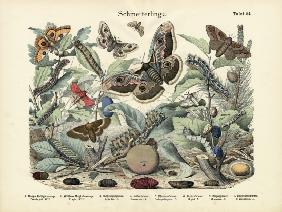 Butterflies, c.1860