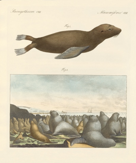 Mammals od German School, (19th century)