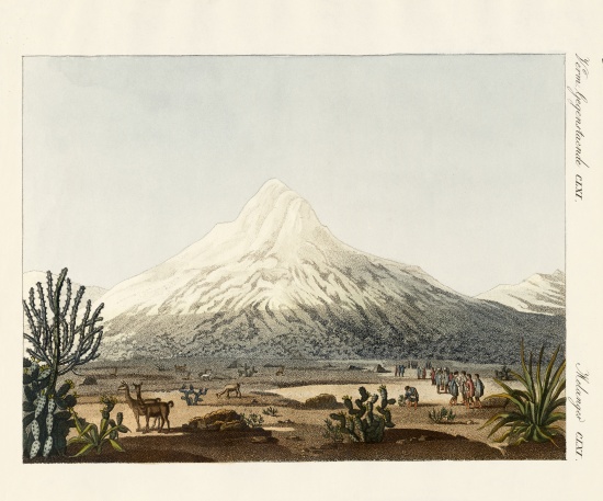 The Chimborazo in South America od German School, (19th century)