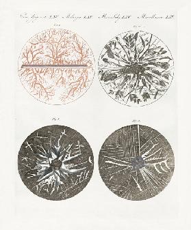 Microscopic view of the crystallization of metal