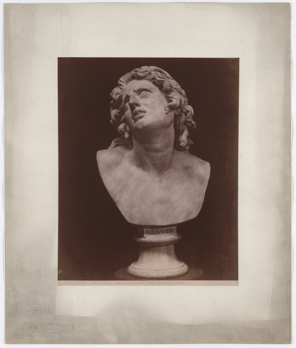 Florence: Uffizi Gallery, Alessandro dying, colossal head in marble, No. 3223 od Giacomo Brogi