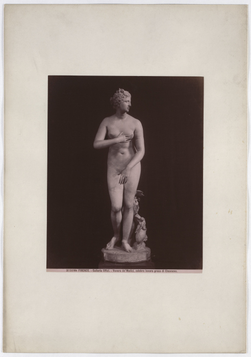 Florence: Venus deMedici, famous Greek work by Cleomene, Uffizi Gallery, No. 3150 bis od Giacomo Brogi