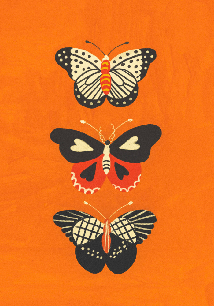 Butterflies od Gigi Rosado