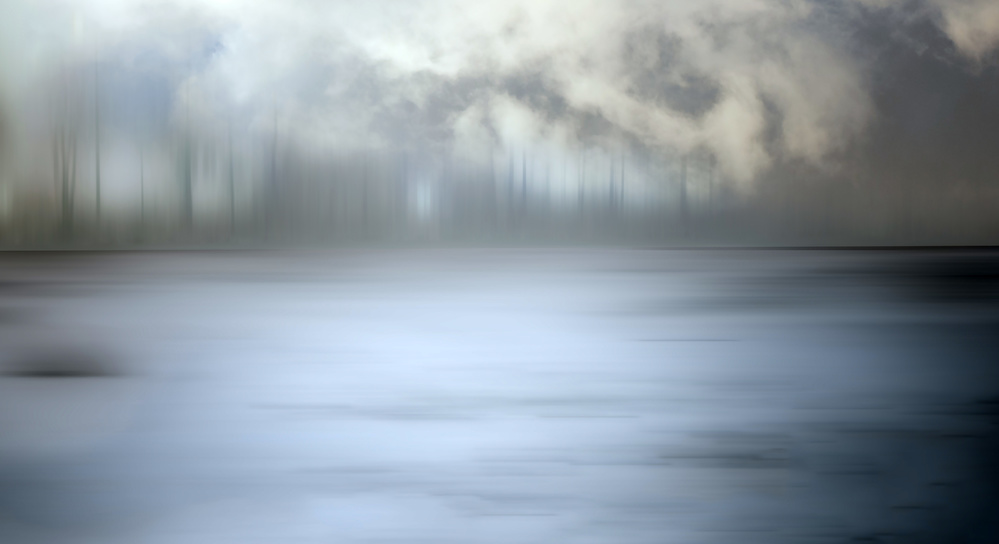 Foggy forest od Gilbert Claes