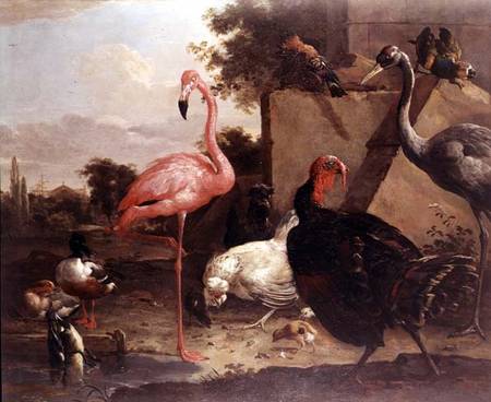 Various Birds od Gillis Claesz d' Hondecoeter