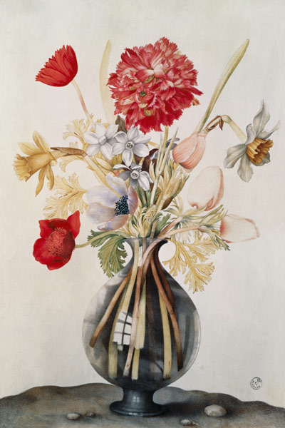Vase of Flowers with Daffodils, Carnations and Anemones od Giovanna Garzoni