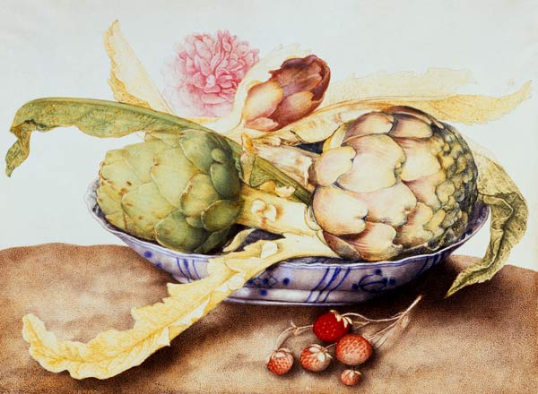 G.Garzoni / Bowl of Artichokes / c.1650 od Giovanna Garzoni